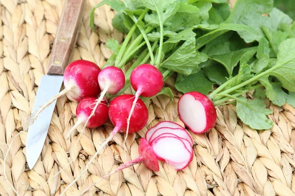 Comida Vegetariana Enfoque Selectivo — Foto de Stock