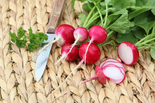 Cibo Vegetariano Attenzione Selettiva — Foto Stock