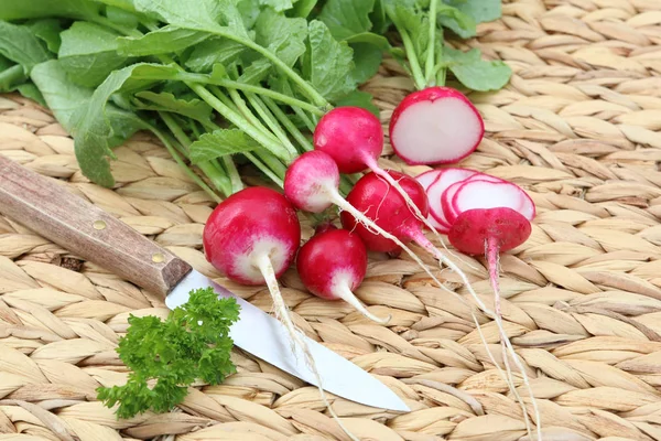 Närbild Livsmedel Selektiv Inriktning — Stockfoto