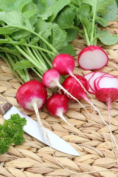 Vegetarische Kost Selektiver Fokus — Stockfoto