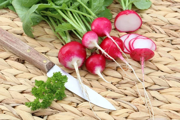 Vegetarische Kost Selektiver Fokus — Stockfoto