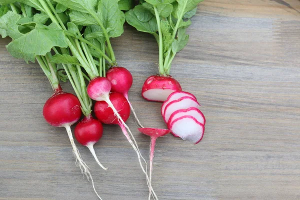 Fresh Radish Radi Bund — Stock Photo, Image