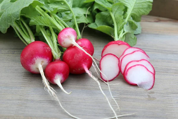 Fresh Radishes Radi Bund — Stock Photo, Image