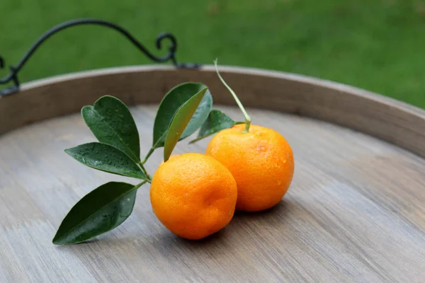 Closeup Citrus Fruits — Stock Photo, Image