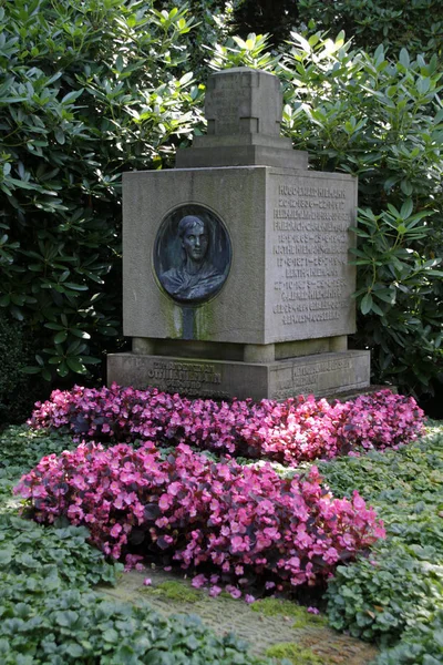 Blick Auf Schöne Blumen — Stockfoto