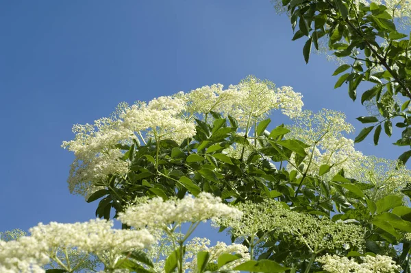 Scenisk Syn Medicinsk Vård Koncept — Stockfoto