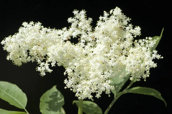 Scenisk Syn Medicinsk Vård Koncept — Stockfoto