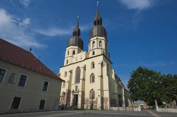 Katedrála Svatý Joan Trnava Thyrnau Slovensko Trnava Slovensko — Stock fotografie