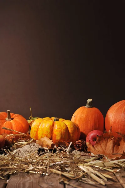 Halloween Many Pumpkins Straw Brown Background Copy Space — Stockfoto