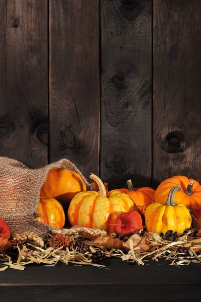 Erntedankfest Various Pumpkins Jute Sack Straw Copy Space Brown Background — Φωτογραφία Αρχείου