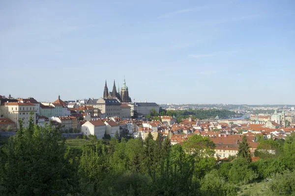 Catedral São Vito Praga — Fotografia de Stock