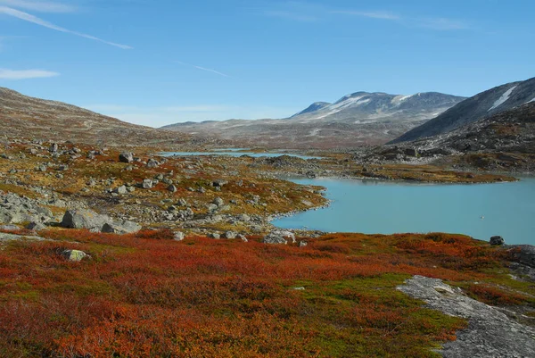 Norwegen Auf Naturlandschaft Hintergrund — Stockfoto