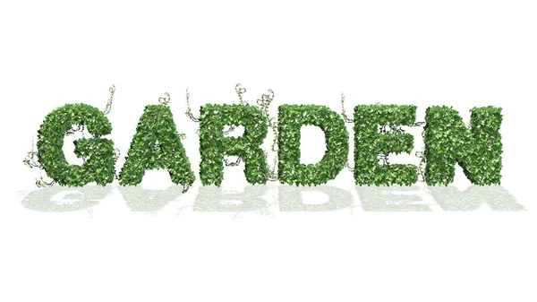 绿色常春藤叶的花园标识 白色背景 — 图库照片