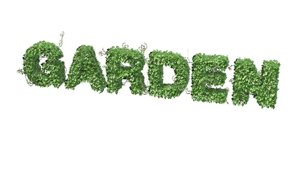 Garten Logo Aus Grünen Efeublättern Auf Weißem Hintergrund — Stockfoto