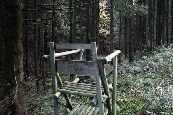 Siège Haut Pour Les Chasseurs Dans Les Bois — Photo