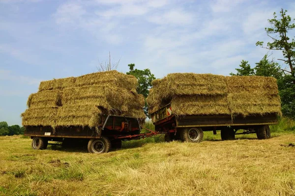 Straw Bales Tractor Trailer — Stock Photo, Image