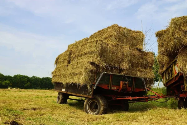 Straw Bales Traktoranhaenger — Stock Photo, Image