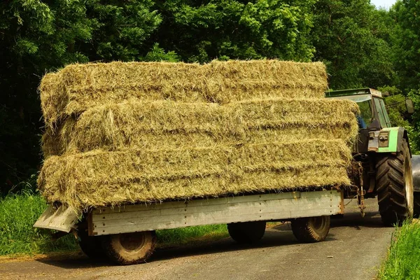 Halmbalar Traktoranhaenger — Stockfoto