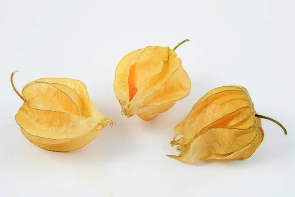 Verse Kruisbessen Physalis Wit Vlak — Stockfoto