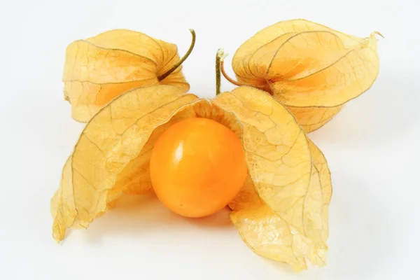 Friss Fekete Áfonya Physalis Fehér Alapon — Stock Fotó