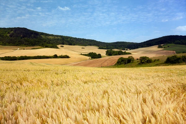 Paisagens Mais Incríveis — Fotografia de Stock