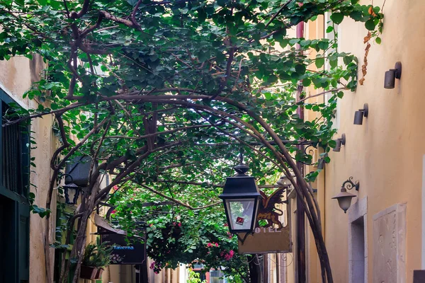 Calle Estrecha Con Edificios Antiguos Entrelazado Parte Superior Las Plantas — Foto de Stock