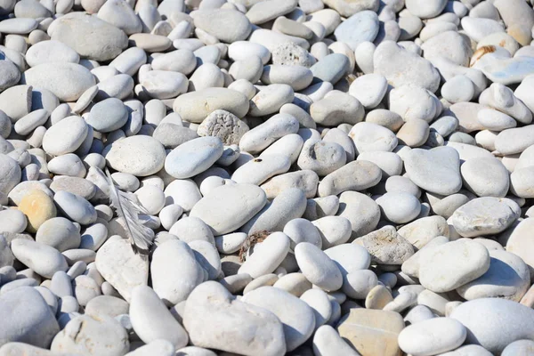 Пляжные Камни Скалы Природы — стоковое фото