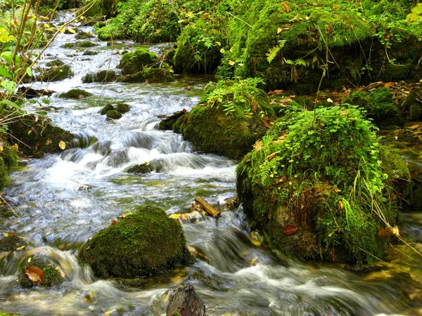 Prachtig Uitzicht Het Natuurlandschap — Stockfoto