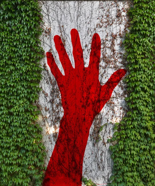 Röd Hand Betongvägg — Stockfoto