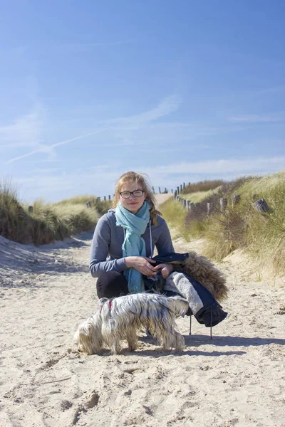 Wandelen Met Hond Duinen Zoutelande Nederland — Stockfoto