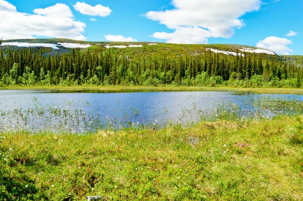 Lindo Lago Montanha Com Pico Fundo Neve Ainda Encostas Vegetação — Fotografia de Stock