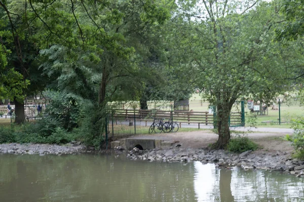 Widok Rzekę Parku — Zdjęcie stockowe