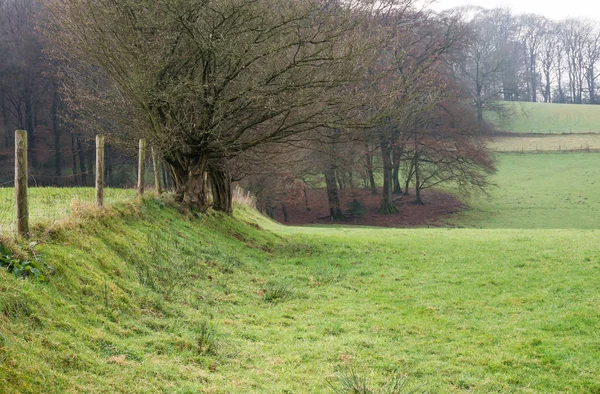 Landschaft Nebel — Stockfoto