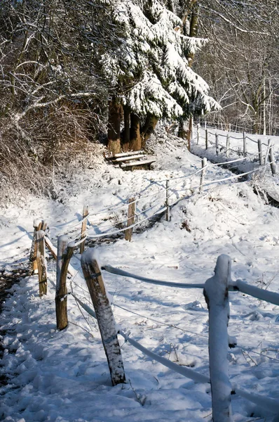 Banc Avec Neige Sur Sentier Enneigé — Photo