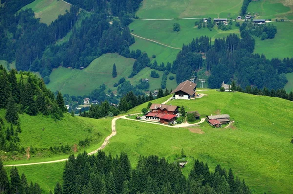 Por Debajo Colmena Tirol — Foto de Stock