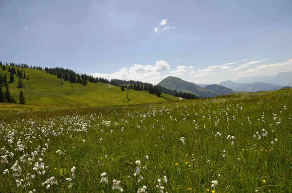 Vista Panorâmica Bela Paisagem Alpes — Fotografia de Stock