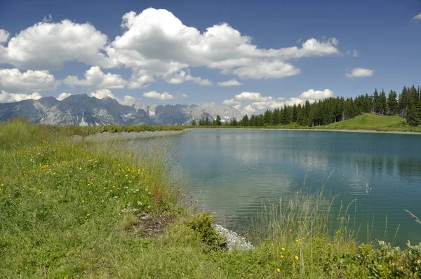 Wilder Kayzer Tirol Alpen — Stok fotoğraf