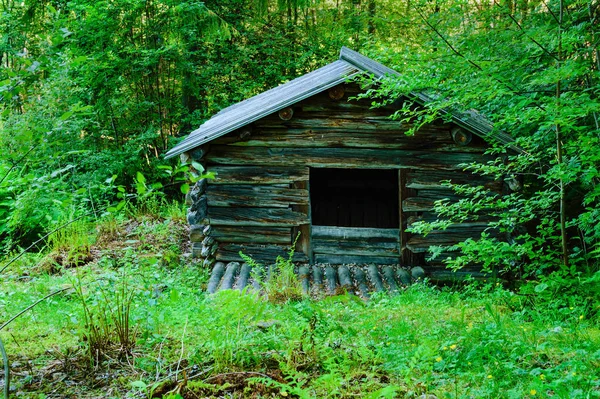 Alte Holzhütte Oder Hütte Der Natur Waldnähe — Stockfoto