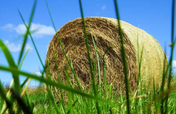 Strobalen Onder Blauwe Lucht — Stockfoto