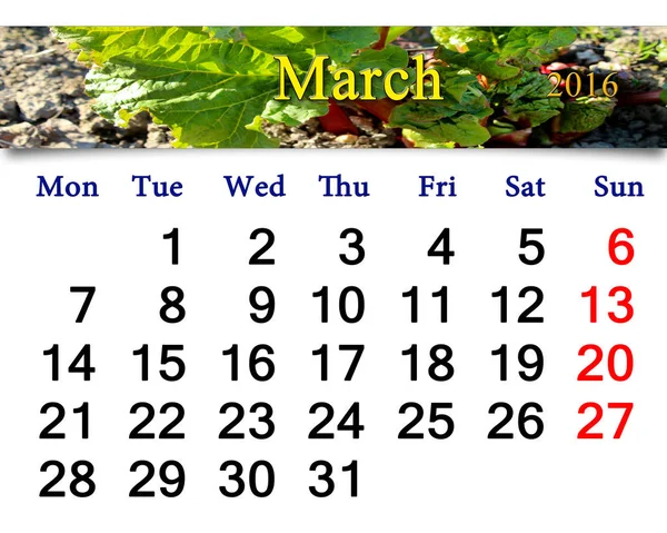 Calendario Marzo 2016 Con Nastro Con Rabarbaro Verde — Foto Stock