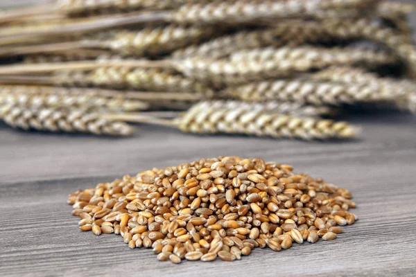 Пшеничные Уши Семенами — стоковое фото