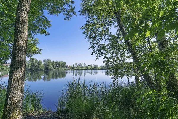 Guardando Nel Magico Soppensee — Foto Stock