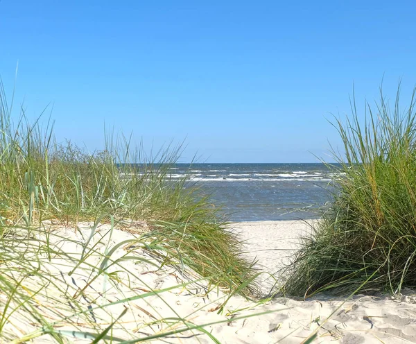 Vacanze Estive Sulla Bellissima Spiaggia — Foto Stock