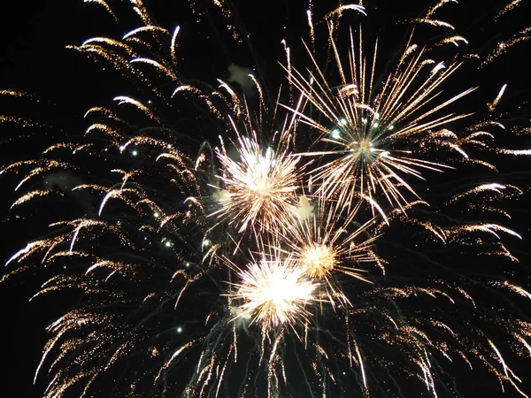 Disparando Fuegos Artificiales Colores Brillantes Cielo —  Fotos de Stock