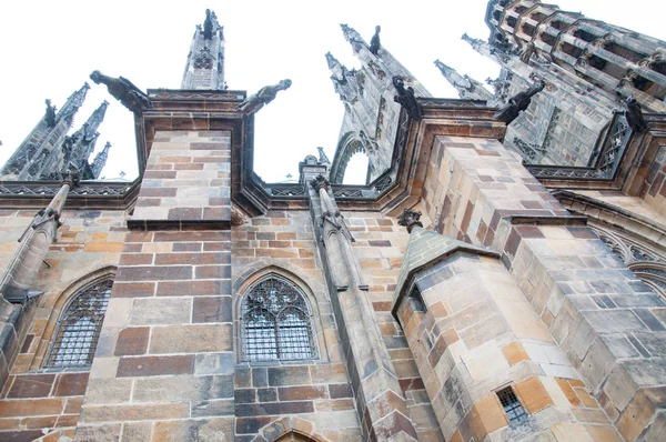 Bellísimos Detalles Catedral San Vitus — Foto de Stock