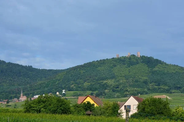 Malerischer Blick Auf Majestätische Mittelalterliche Architektur — Stockfoto