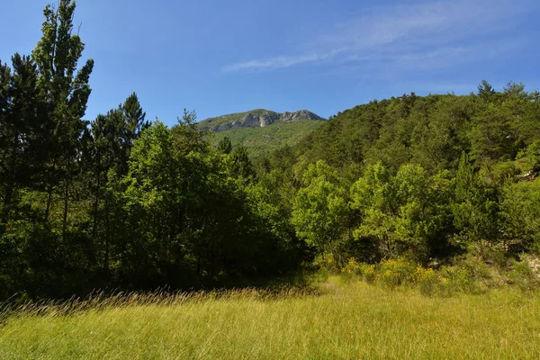 Paesaggio Naturale Concetto Viaggio — Foto Stock