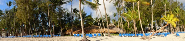 Panoramic View Beach Punta Cana — Stock Photo, Image