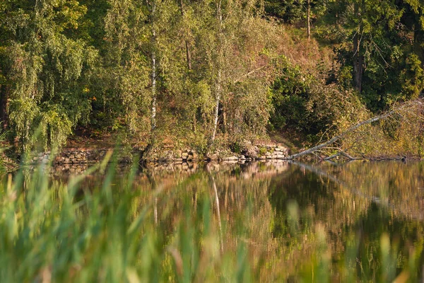 Teich Herbstkleid — Stockfoto