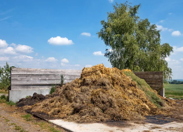 Живописный Вид Сельскую Местность Избирательный Фокус — стоковое фото